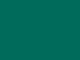 Green Forest Color Chip